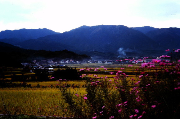 d0282609_21231107.jpg