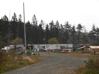 b0146611_8491616.jpg