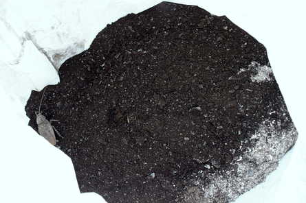 f0011412_14444598.jpg
