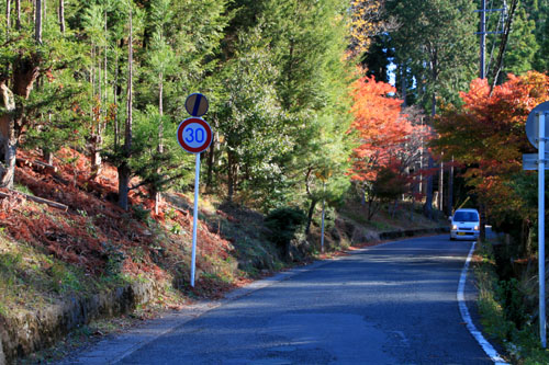 14紅葉めぐり8 京見峠から杉坂地蔵院へ_e0048413_19503927.jpg