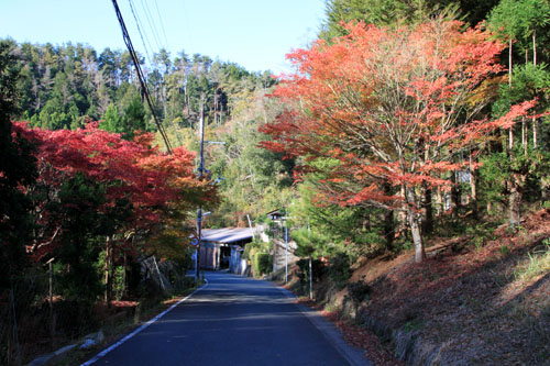 14紅葉めぐり8 京見峠から杉坂地蔵院へ_e0048413_19504464.jpg