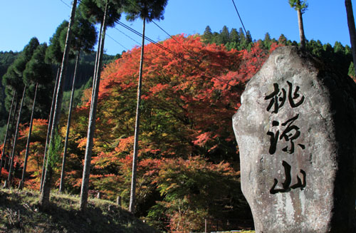 14紅葉めぐり8 京見峠から杉坂地蔵院へ_e0048413_1951017.jpg