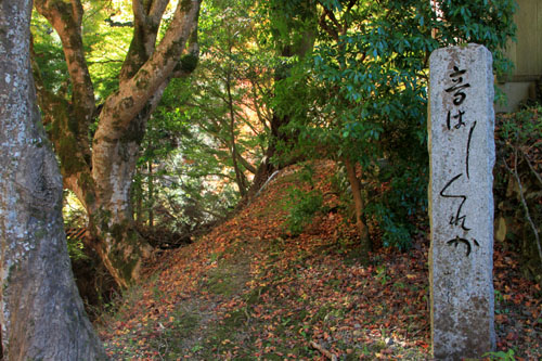14紅葉めぐり8 京見峠から杉坂地蔵院へ_e0048413_19513248.jpg