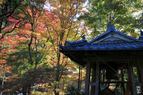 14紅葉めぐり8 京見峠から杉坂地蔵院へ_e0048413_1951485.jpg