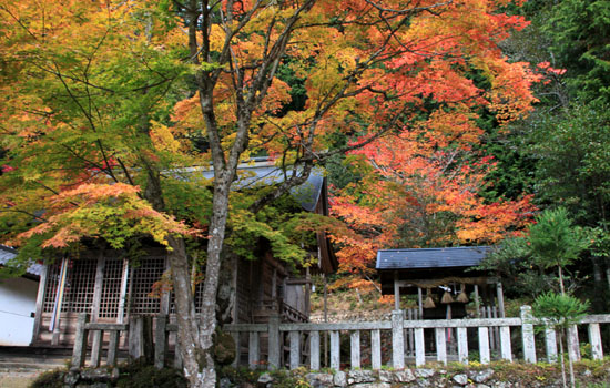 14紅葉めぐり 9 上弓削熊野神社_e0048413_2027467.jpg