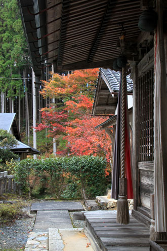 14紅葉めぐり 9 上弓削熊野神社_e0048413_2029727.jpg