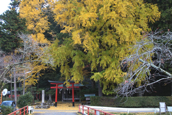 14黄葉めぐり10 落葉神社_e0048413_21461332.jpg