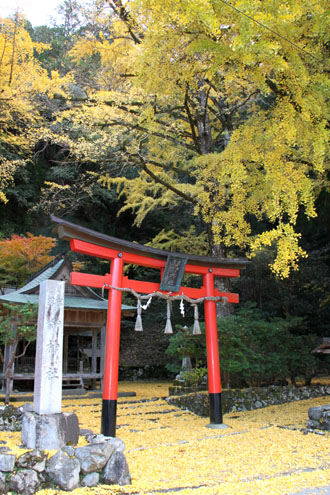 14黄葉めぐり10 落葉神社_e0048413_21462935.jpg