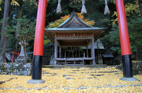 14黄葉めぐり10 落葉神社_e0048413_21465025.jpg