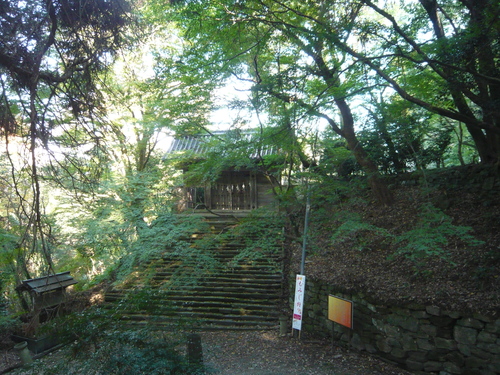 a0238019_20472258.jpg