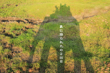 d0042827_2523927.jpg