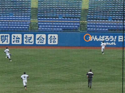 b0166128_1134288.jpg