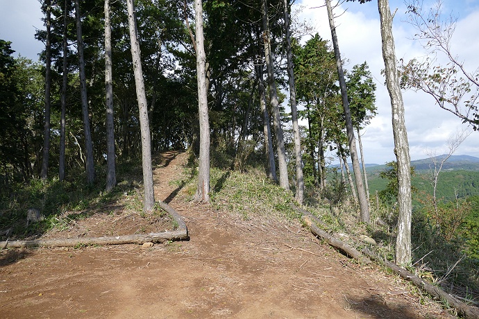 伊豆・巣雲山　その５_c0196928_124924100.jpg