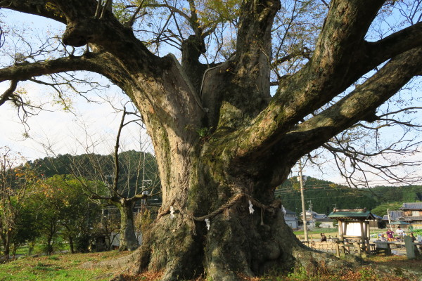 a0300829_21302201.jpg