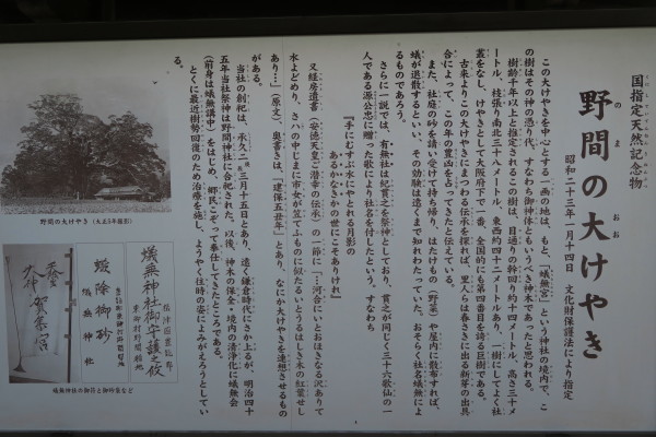 a0300829_21304131.jpg