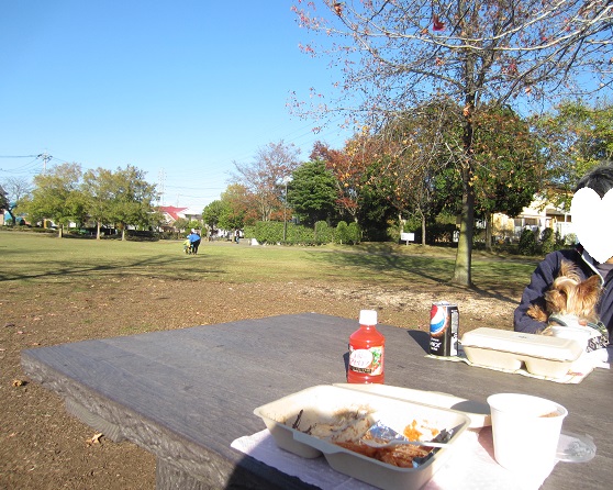 f0002833_23866.jpg