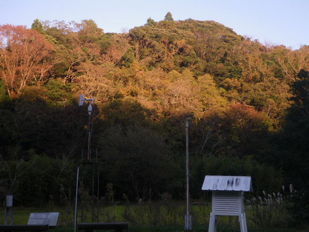 a0123836_175219.jpg