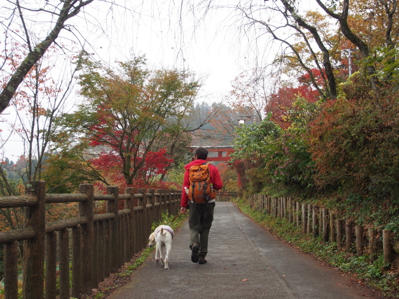 御岳山に行ってきたよ!　前編_a0253436_20301265.jpg