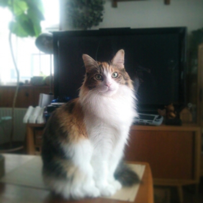 f0219840_02129.jpg