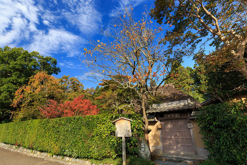 嵯峨野ぶらり・落柿舎~常寂光寺_f0155048_22371545.jpg