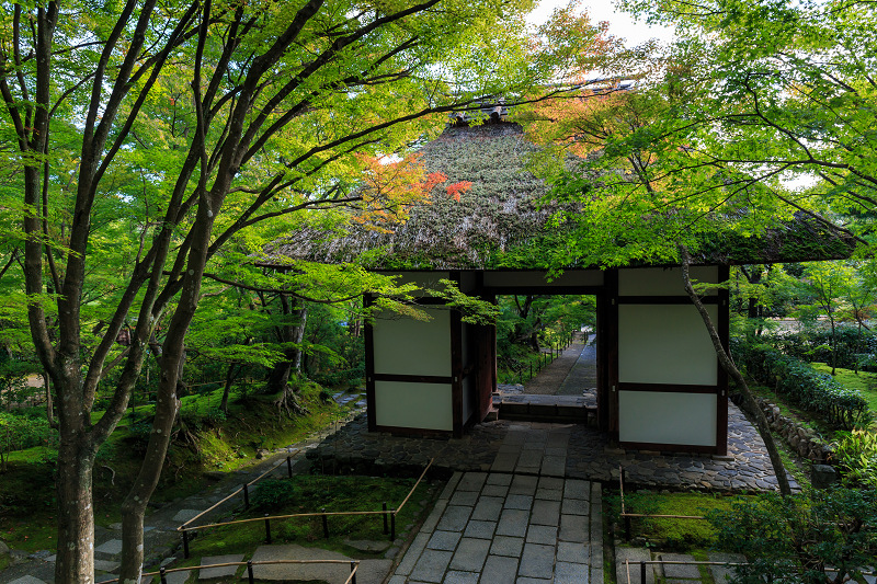 嵯峨野ぶらり・落柿舎~常寂光寺_f0155048_22384061.jpg