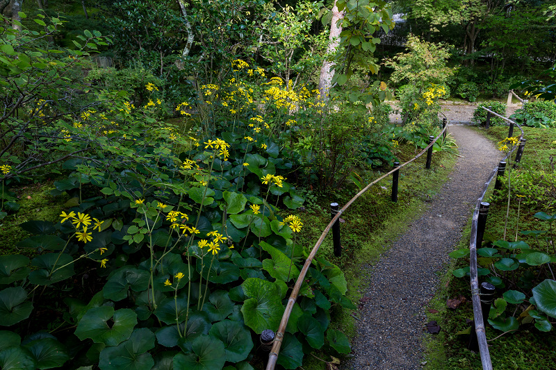 嵯峨野ぶらり・落柿舎~常寂光寺_f0155048_22392370.jpg