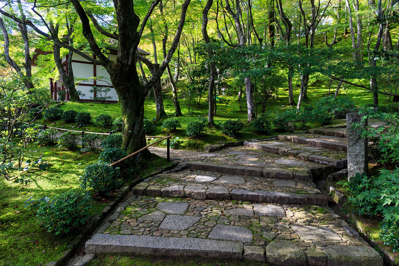 嵯峨野ぶらり・落柿舎~常寂光寺_f0155048_22411284.jpg