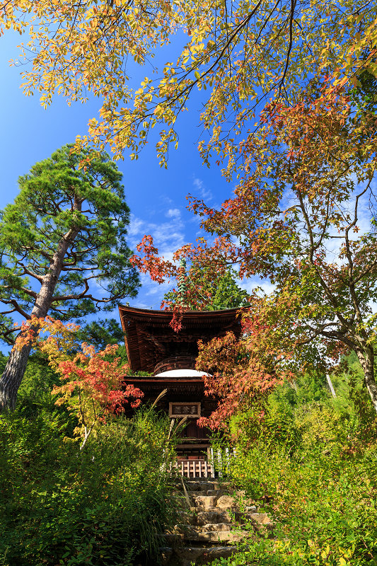 嵯峨野ぶらり・落柿舎~常寂光寺_f0155048_22421948.jpg