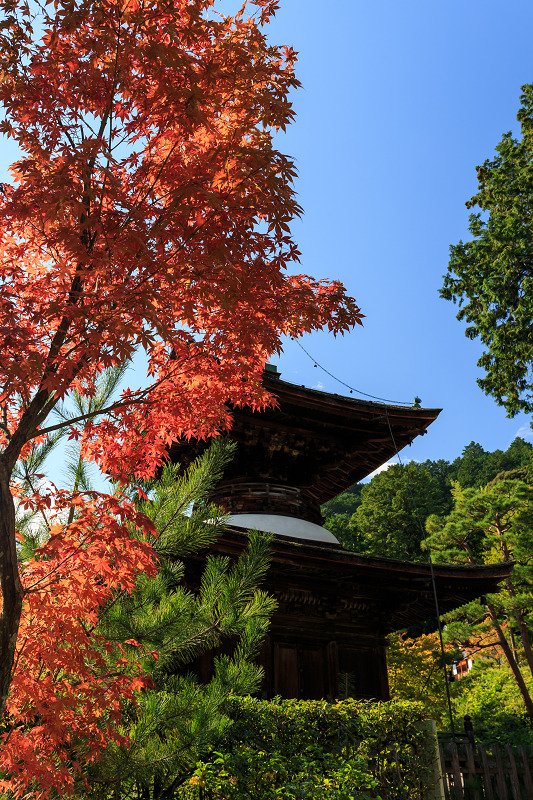 嵯峨野ぶらり・落柿舎~常寂光寺_f0155048_2243356.jpg
