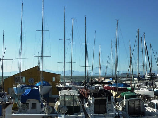 a0136253_1944025.jpg