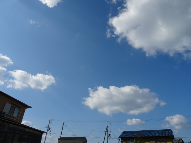 c0108460_17540068.jpg