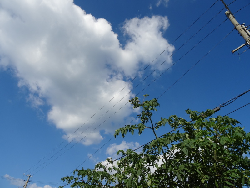 c0108460_17540158.jpg