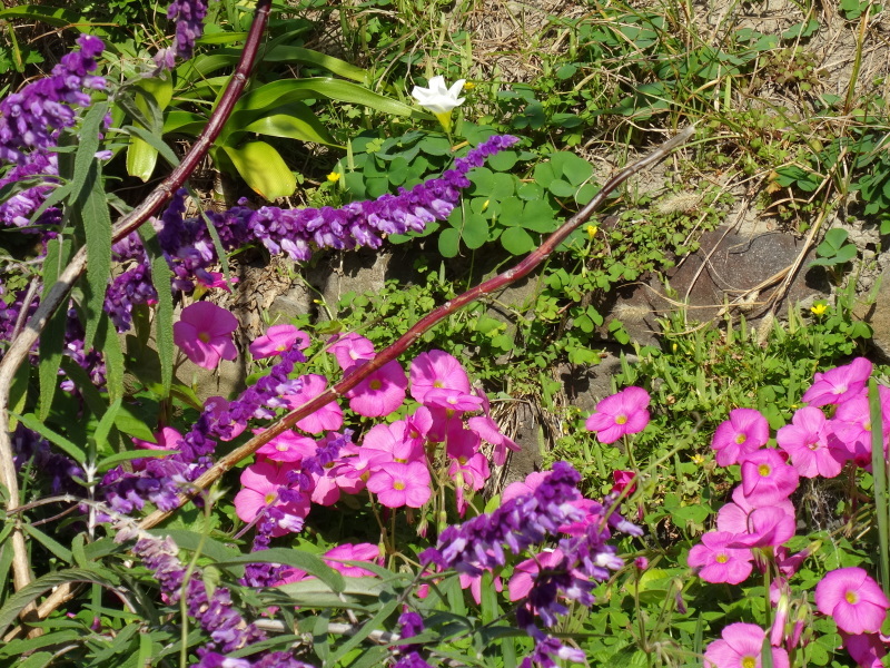 c0108460_17540273.jpg
