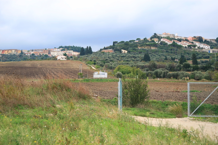 d0274760_874330.jpg
