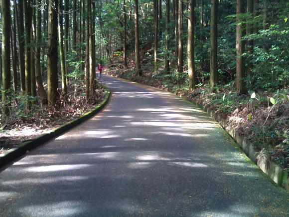 e0177961_131933.jpg