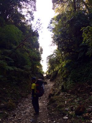 南部、ネパールの山林の中を歩くの巻_d0197762_11214727.jpg