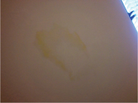 c0178169_10363631.jpg