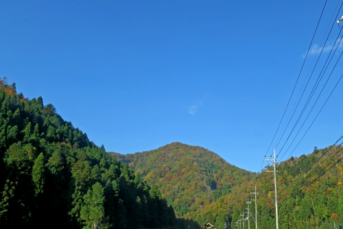 2014年11月15日(土) 今日は音海_b0137083_18271535.jpg
