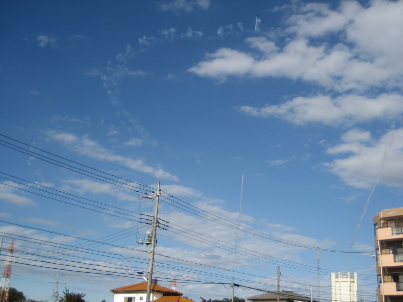b0204887_10102042.jpg