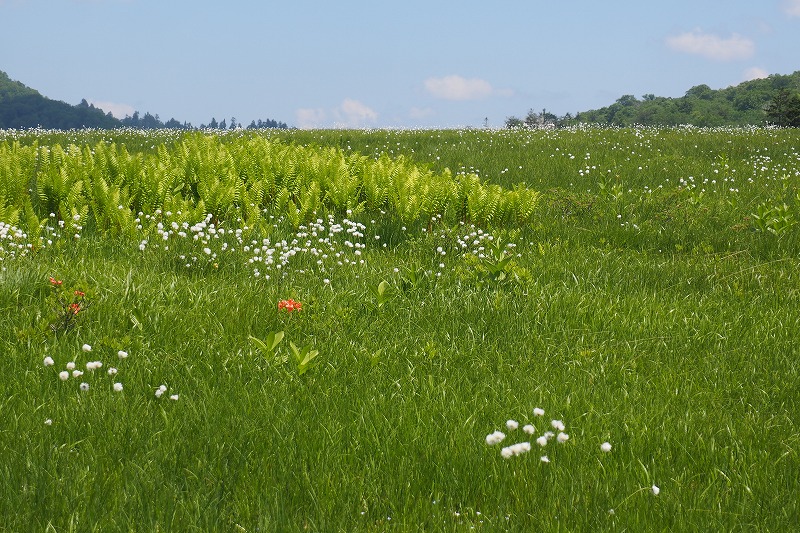 a0293295_20945.jpg