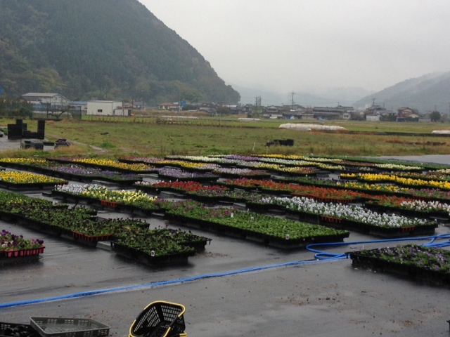 美作_f0204295_19511332.jpg