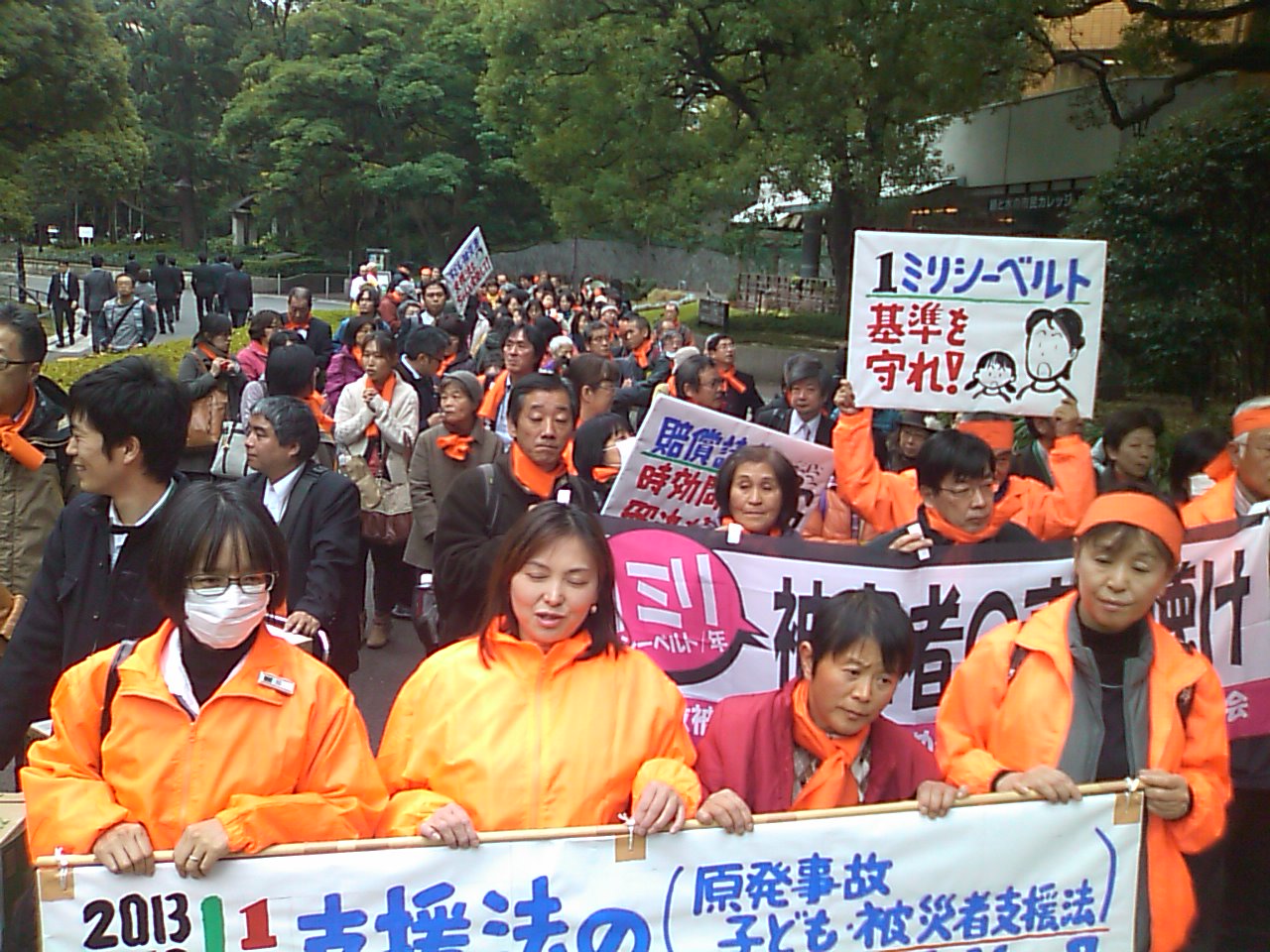 第二期東京集会、原発事故被害者救済を!_e0068696_7524939.jpg