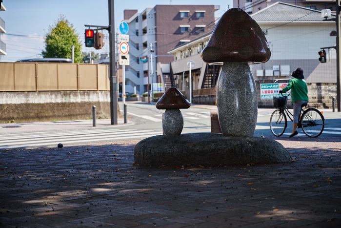 大きなキノコ_e0135098_7274766.jpg