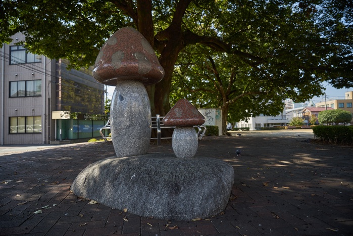 大きなキノコ_e0135098_728484.jpg