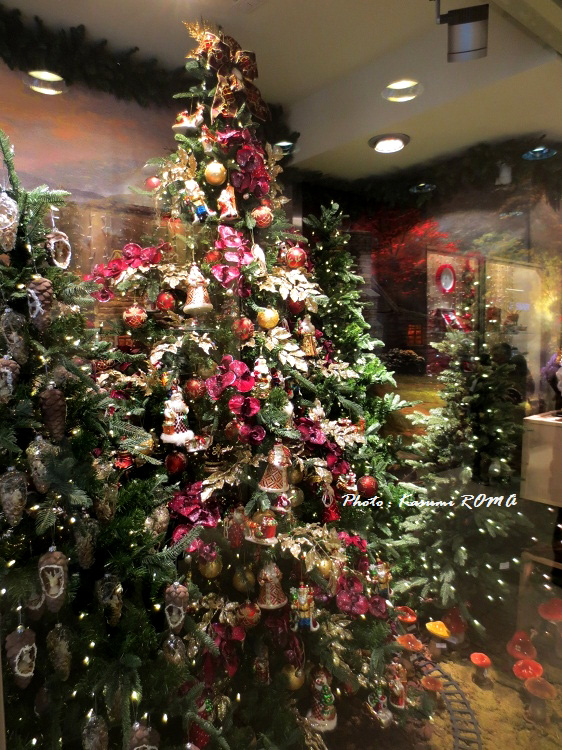 b0096600_80468.jpg