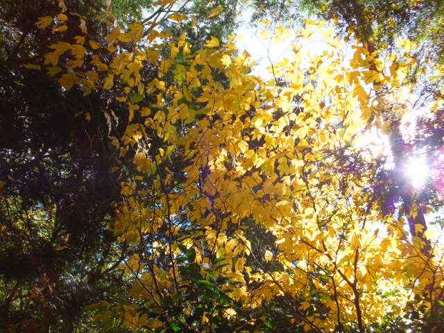 a0271502_16355926.jpg
