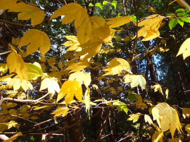 a0271502_16362599.jpg