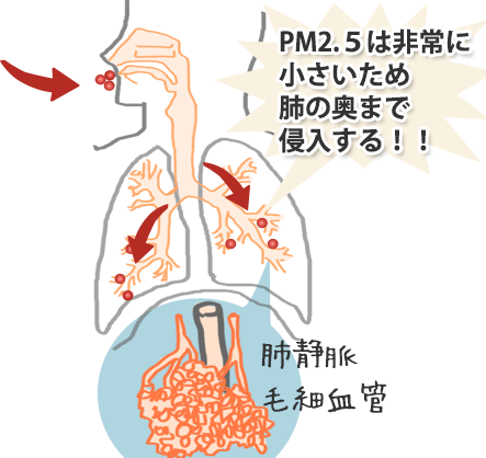 a0212807_1933536.png