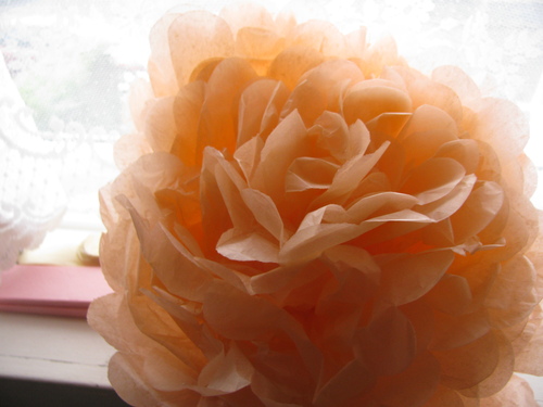 a0058308_4421071.jpg