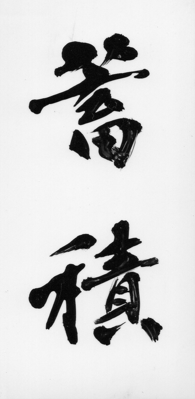蓄積と新たな取り組み_d0325708_1014955.jpg